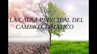 LA CAUSA PRINCIPAL DEL CAMBIO CLIMATICO CICLO PLANETARIO [upl. by Joan]