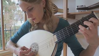 Ieva Baltmiskyte plays Pleurez Mes Yeux Sandrin by Albert de Rippe on 6 course lute by Muzikkon [upl. by Crispen80]