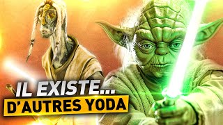 Il existe dautres YODA dans STAR WARS [upl. by Lodmilla]