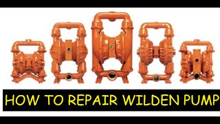 REPAIR WILDEN PUMP solved [upl. by Eigna]