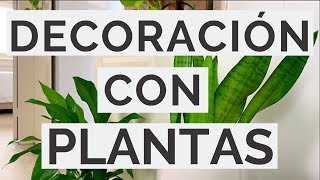 Cómo Decorar Con PLANTAS DE INTERIOR  Minimalismo [upl. by Ennoryt]