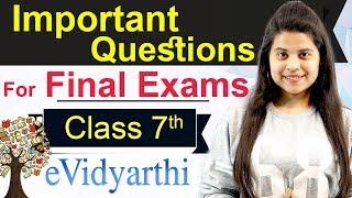 Maths  Important Questions for Final Exam  Class 7 [upl. by Cirri]