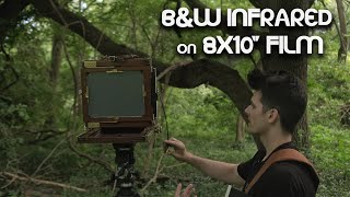 Shooting Infrared 8x10quot BampW Film  Large Format Friday [upl. by Volkan]