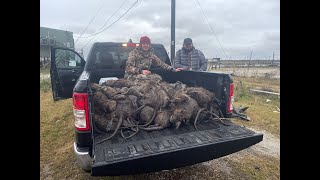 Nutria Rat Hunting in Louisiana with Swamp People [upl. by Erena]