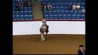 09 APHA world show Am Jr West Pleasure Cut 1 [upl. by Ajat]