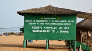 Sénégal  Réserve Naturelle Communautaire de la Somone [upl. by Ahsitra420]