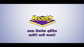 PIYESTRA  Sri Lanka  TV Commecial  Piyestra Product Range  30 Sec [upl. by Conchita948]