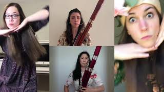 The Rite of Spring except its all bassoons [upl. by O'Mahony]