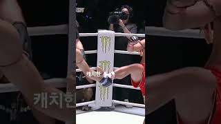 무에타이 프론트킥 딥킥 캐치 후 카운터 어썸MMA배관장의 기술강좌 [upl. by Kutzenco189]