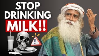 IMPORTANT  WHY DRINKING MILK IS BAD FOR YOU  SADHGURU [upl. by Ewens]