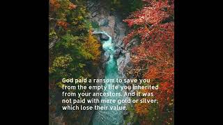 Your imperfections were bought at a price god wordofgod truth jesuschrist [upl. by Aicenert]