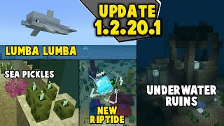 UPDATE AQUATIC 12201 KEREN BANGET ADA DOLPHIN SEA PICKLES UNDERWATER RUINS DAN LAIN LAIN [upl. by Brass662]