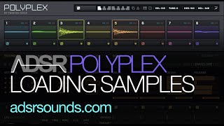 NI Polyplex  Loading Your Own Samples into Polyplex [upl. by Shanley]