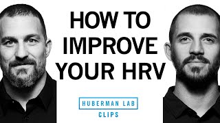 How to Improve Your HRV  Dr Andy Galpin amp Dr Andrew Huberman [upl. by Jud]