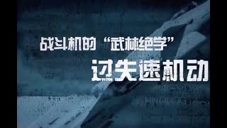 战斗机的武林绝学 过失速机动普加乔夫眼镜蛇弗罗洛夫轮盘落叶飘赫布斯特蹬壁 [upl. by Eilama129]