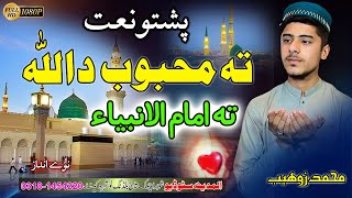 Pa Nabyanu Ke Ala PAshto naat 2024 by Hafiz Muhammad Zohaib [upl. by Jeni]