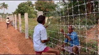 FENCING WORK  AGRICULTURE LAND FENCING  TAMIL NADU  iNDIA [upl. by Thordis]