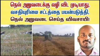 Paddy harvest Way problem solved [upl. by Akinnej]