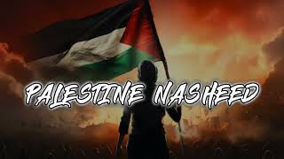 Palestine Nasheed  Arabic Nasheed Heart Touch Nasheed [upl. by Emelda]