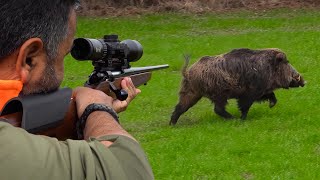 27 Incredible Wild Boar Shots in 17 Minutes  BEST OF HUNTING Compilation [upl. by Westbrook]