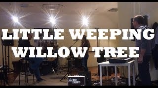 Little Weeping Willow Tree  EmiSunshine Cover [upl. by Intyrb]