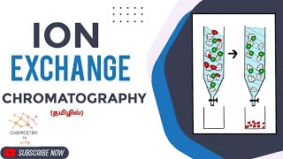 Ion Exchange Chromatography in Tamil  Cation exchange chromatography Anion exchange chromatography [upl. by Nnahs]