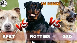 German Shepherd VS Rottweiler VS Pitbull  What dog is more dangerous Top 10 Most Dangerous Dogs [upl. by Ford]