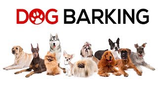 Dogs Barking Sounds To Make Your Dog REACT  34 Breeds Including Yours [upl. by Latashia342]