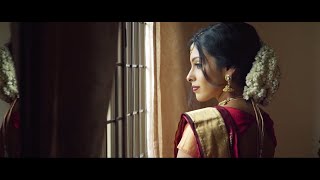 Brian amp Dhivya  Singapore Wedding Video  Indian amp Chinese Multicultural Wedding [upl. by Enitsirc]