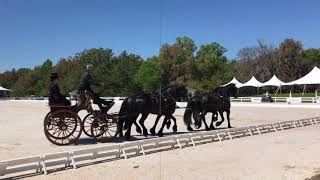 FEI 4 inhand carriages dressage phase at Live Oak 2018 [upl. by Enyawed]