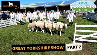 THE GREAT YORKSHIRE SHOW PART 2  SHOWTIME [upl. by Zachery]