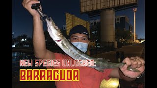 Ep 17 Quick Fishing Session at Al Maktoum Bridge Dubai [upl. by Arlynne5]