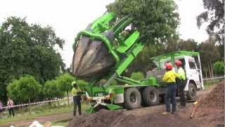 Tree Transplanting with ArborCo Melbournem4v [upl. by Ailerua815]