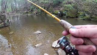 Trout fishing Jacobsburg State Park PA Bushkill Creek [upl. by Lashonda]