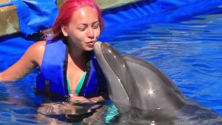 Puerto Vallarta Dolphin Adventure with Harley Tonelli and Vallarta Adventures [upl. by Anonyw]