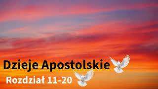 🌎 Dzieje Apostolskie 📕 Rozdział 1120 [upl. by Jahdol15]