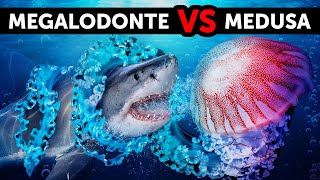 40 Fatti su Alcune Creature Marine più Spaventose del Megalodonte [upl. by Haimehen]