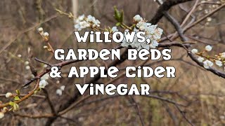 Willows Beds and Apple Cider Vinegar [upl. by Phelps]