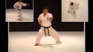 Kyokushin Karate Bible HDwmv [upl. by Nothgiel]