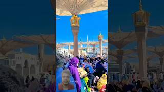 new naat Sharif sharif beautiful love tranding short [upl. by Annoet]