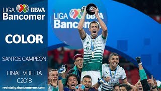 EL COLOR  Santos Campeón Clausura 2018 [upl. by Koeninger]