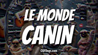 Le Monde Canin [upl. by Franek102]