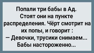 Как Три Бабы в Ад Попали Сборник Свежих Анекдотов Юмор [upl. by Dulcinea]