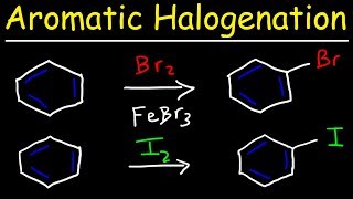 Aromatic Halogenation Mechanism  Chlorination Iodination amp Bromination of Benzene [upl. by Gwenora]