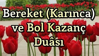 Bereket Duası  Karınca Duası  Bol Rızık Duası  Amin [upl. by Halika]