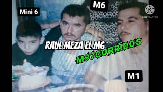 El General de Sinaloa  La Muerte del M6 Raul Meza🌲 [upl. by Emilee]