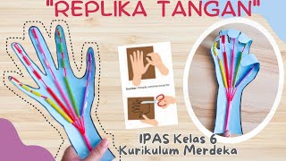 Cara Membuat Replika Tangan IPAS Kelas 6  Alat Peraga Sendi Gerak Tangan Manusia dari Kertas Karton [upl. by Vlad]