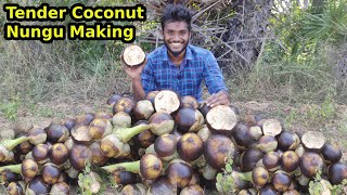 Tender Coconut Nungu Making Video  2024 [upl. by Derag]