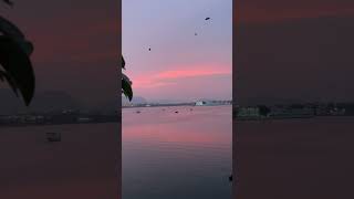 PICHOLA LAKE VIEW ✨❤️udaipur youtubeshorts public nature sad love [upl. by Amanda643]