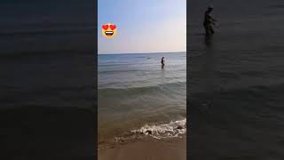 DOG SAVES DROWNING PERSON 😧viralvideo shorts subscribe trending foryou doglover water fyp [upl. by Jacquet233]